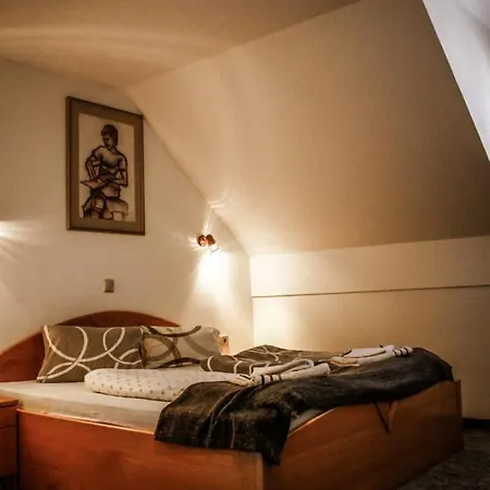 Framski Hram Guest house 3*